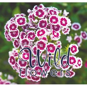 Wild Flowers 2023 Deluxe Executive Calendar